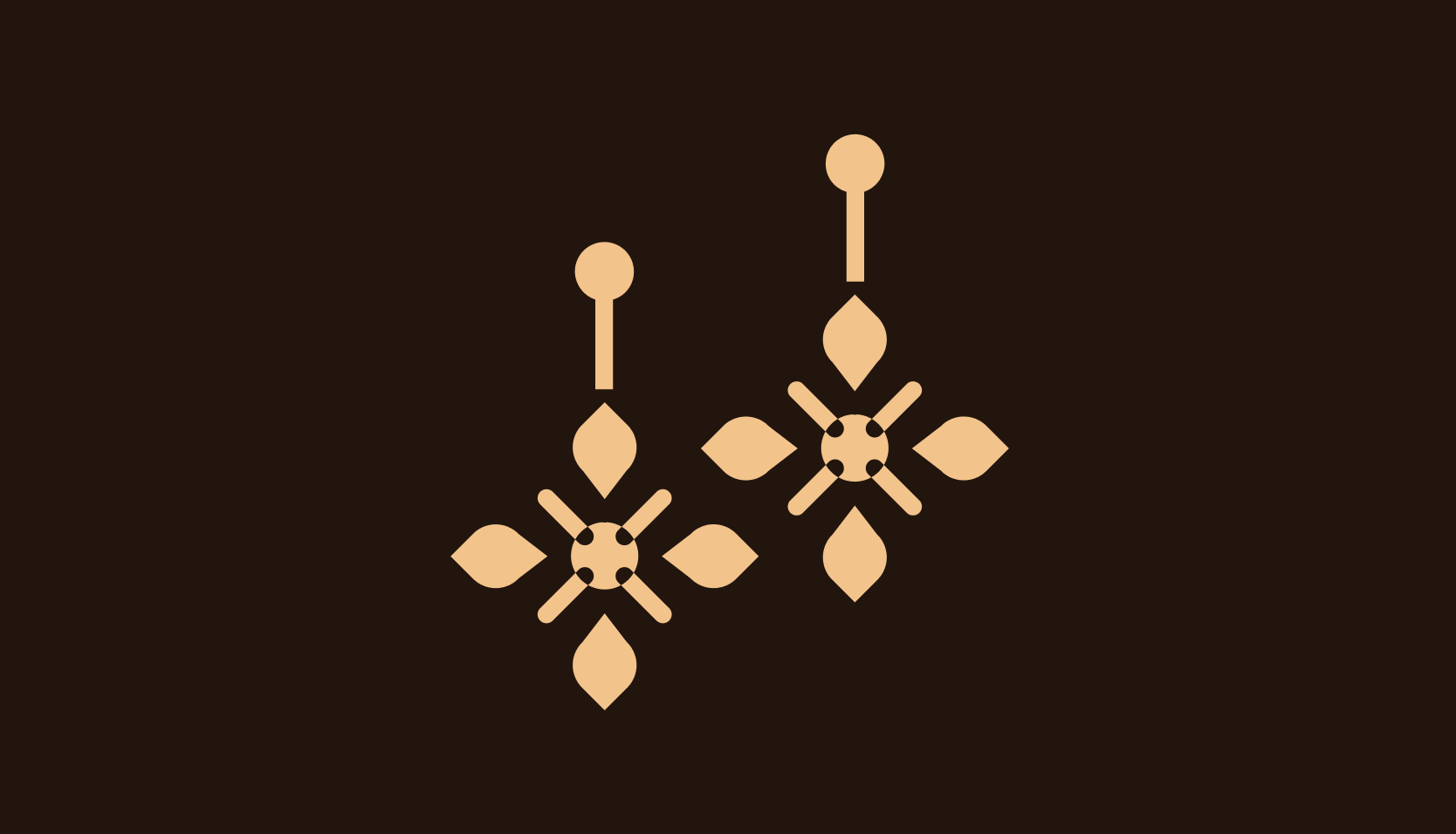 Ear Rings